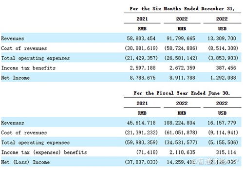 重銷售輕研發，致保科技赴美IPO成長性迎考，單一業務依賴風險凸顯